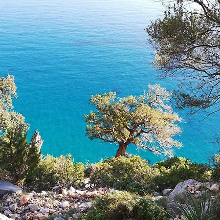 Domo Annalisa Hotel Tortoli Bagian luar foto