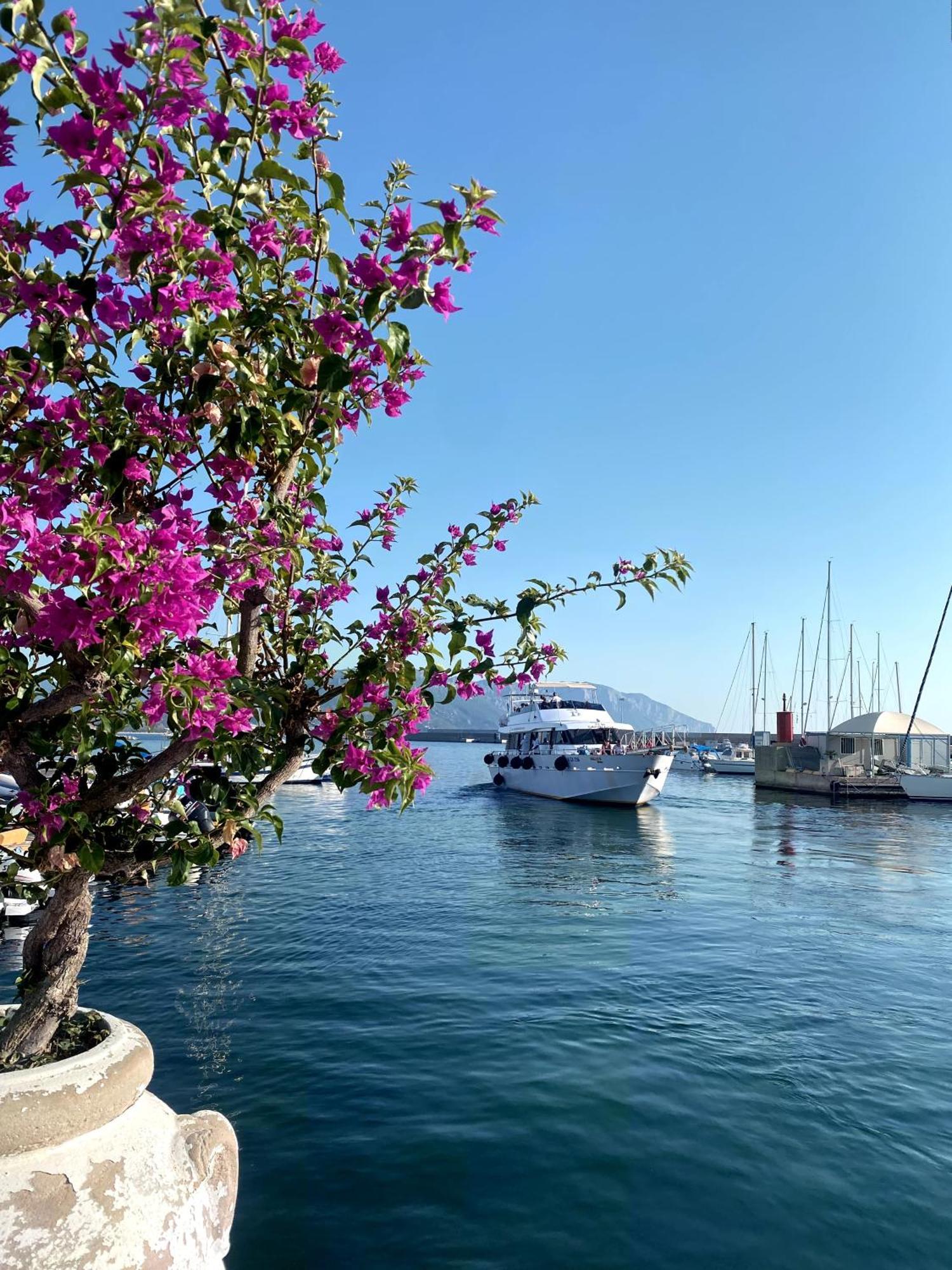 Domo Annalisa Hotel Tortoli Bagian luar foto