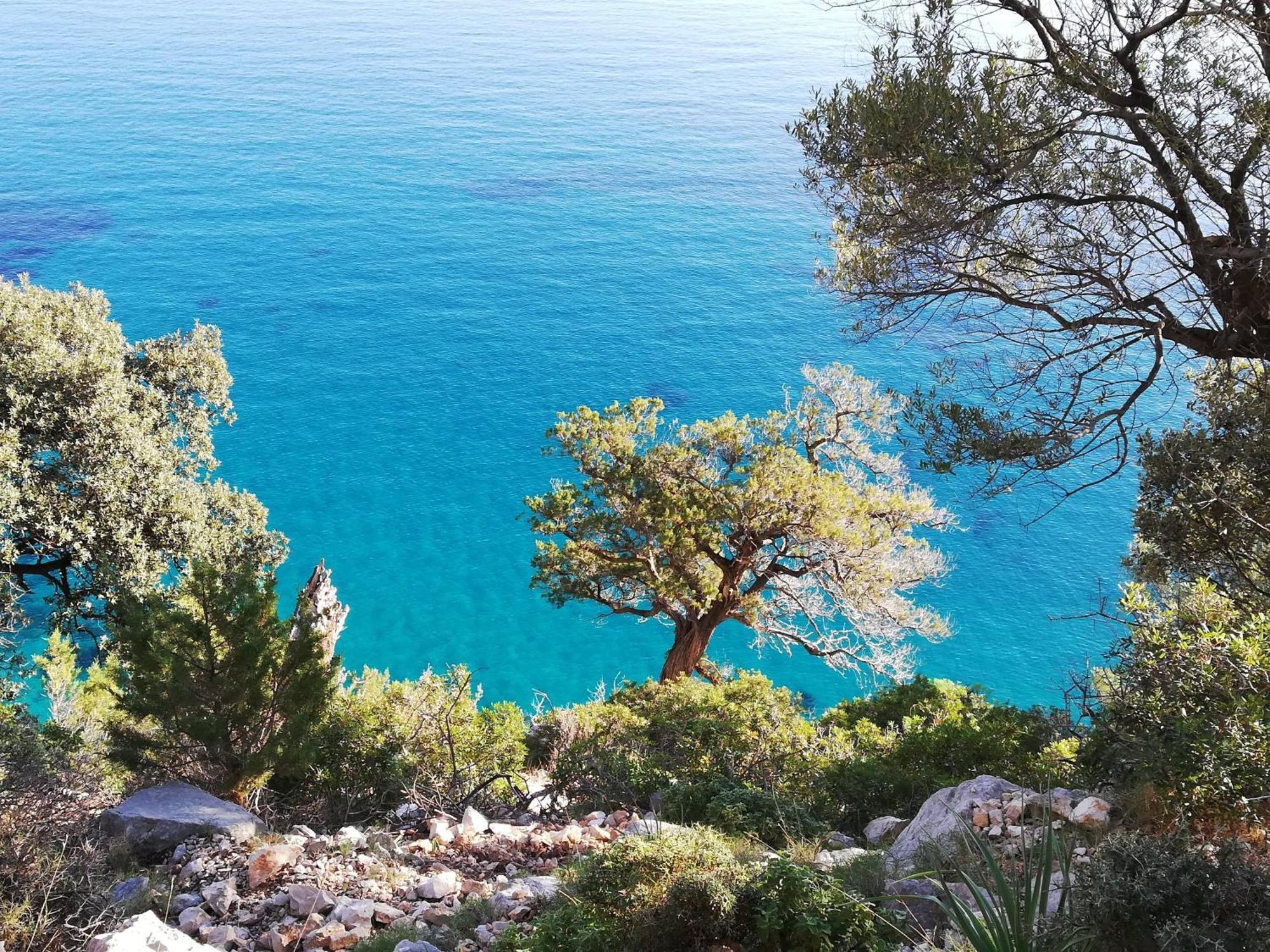 Domo Annalisa Hotel Tortoli Bagian luar foto