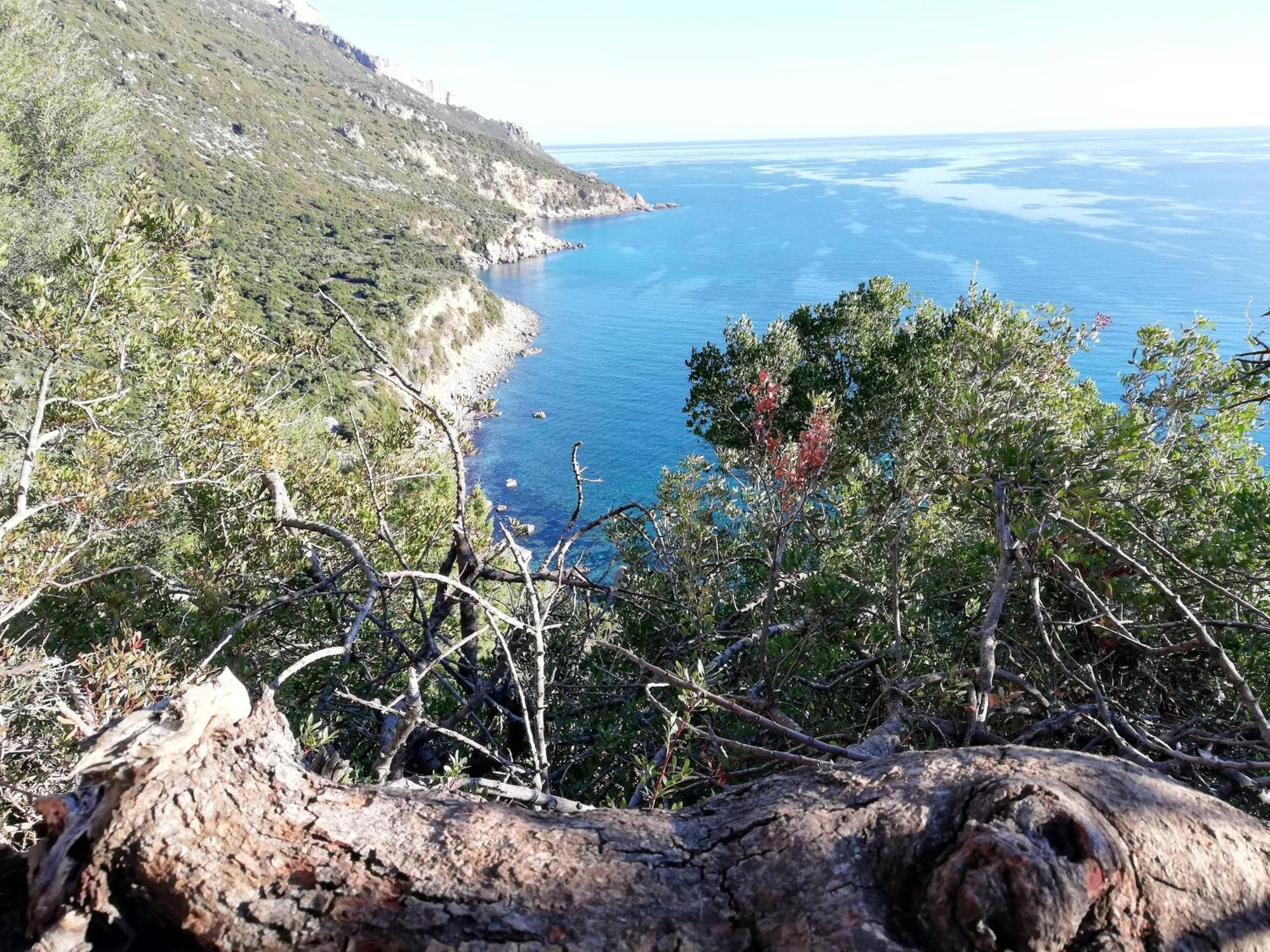 Domo Annalisa Hotel Tortoli Bagian luar foto