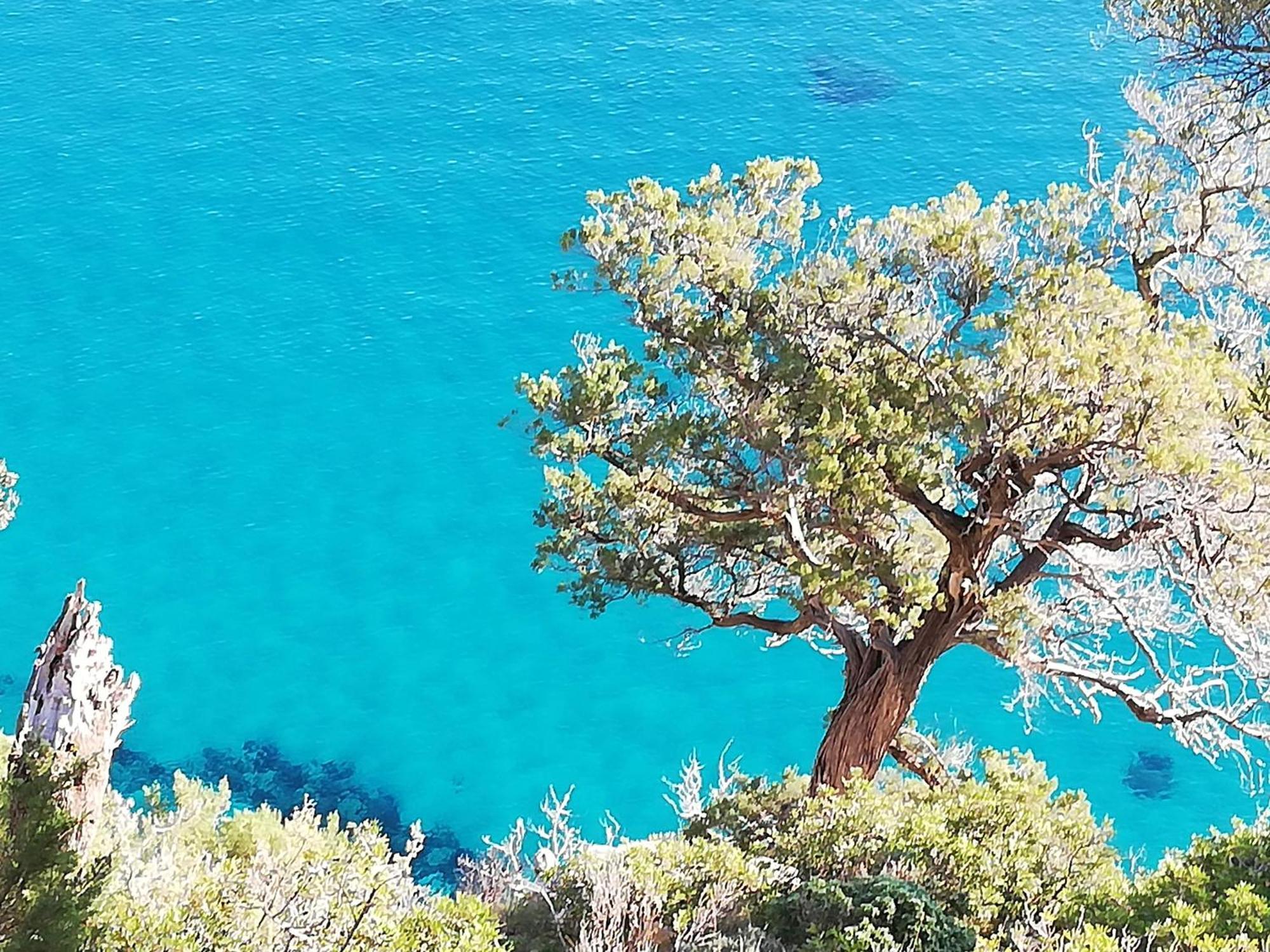 Domo Annalisa Hotel Tortoli Bagian luar foto