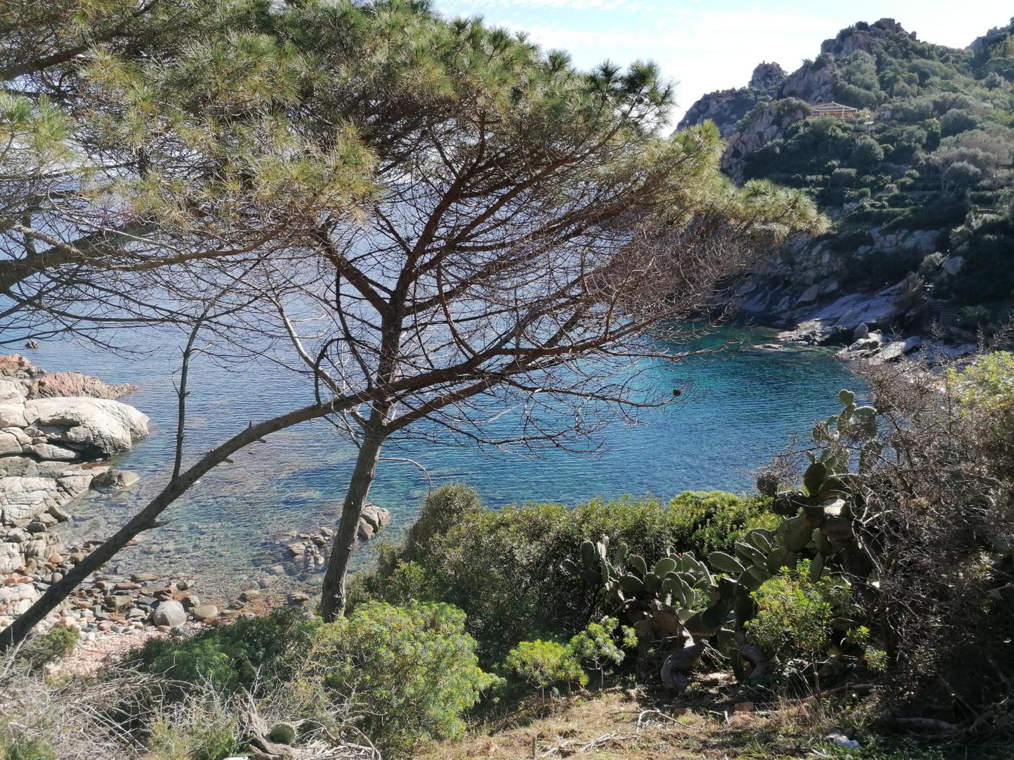 Domo Annalisa Hotel Tortoli Bagian luar foto